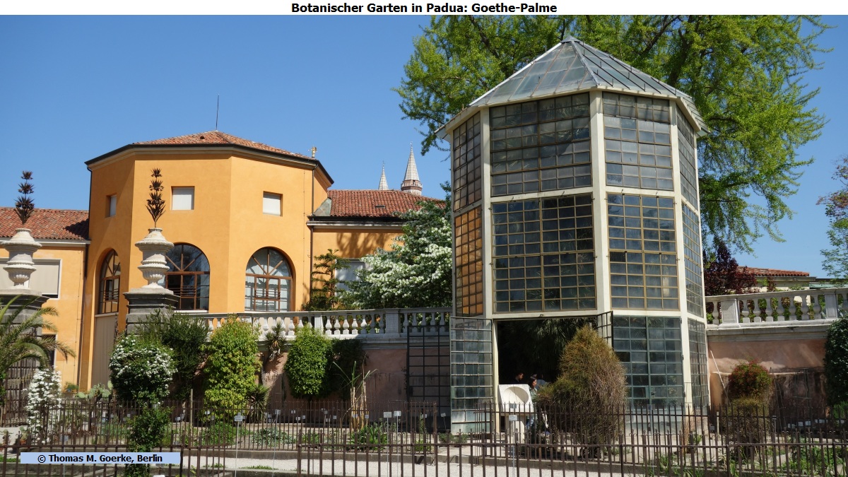 Thomas M. Goerke UNESCO Welterbe Botanischer Garten von Padua